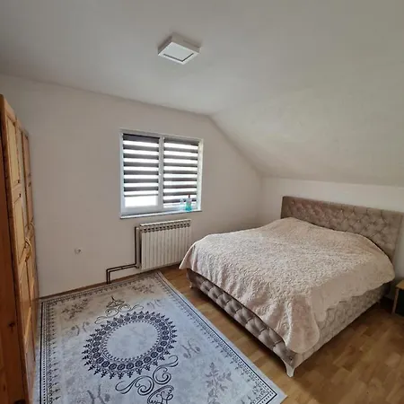 فله إليجا فيلة سراييفو